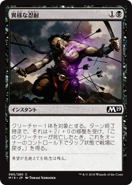【JPN】《異様な忍耐/Abnormal Endurance》[M19]