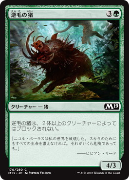【JPN】《逆毛の猪/Bristling Boar》[M19]