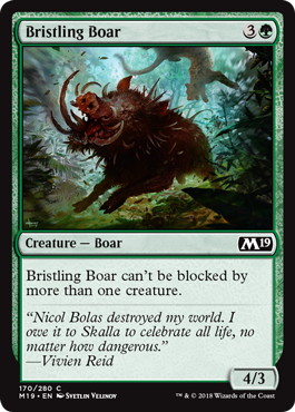 【ENG】《逆毛の猪/Bristling Boar》[M19]