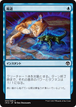 【JPN】【Foil】《縮退/Diminish》[IMA]