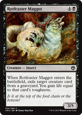 【ENG】【Foil】《腐敗喰いの蛆/Rotfeaster Maggot》[IMA]