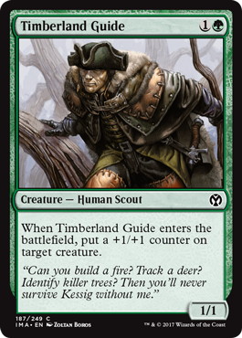 【ENG】【Foil】《森林地の先達/Timberland Guide》[IMA]