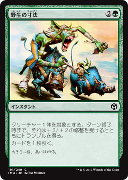 【JPN】【Foil】《野生の寸法/Wildsize》[IMA]