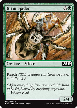 【ENG】《大蜘蛛/Giant Spider》[M19]