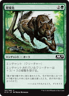 【JPN】《樫変化/Oakenform》[M19]