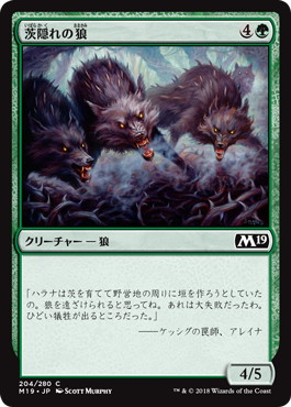【JPN】《茨隠れの狼/Thornhide Wolves》[M19]