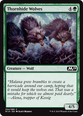【ENG】《茨隠れの狼/Thornhide Wolves》[M19]