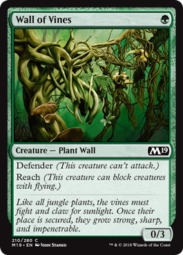 【ENG】《蔦の壁/Wall of Vines》[M19]