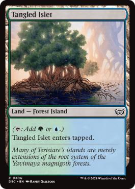 【ENG】《絡みつく島嶼域/Tangled Islet》[DSC]