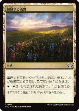 【JPN】《興隆する荒野/Thriving Heath》[DSC]