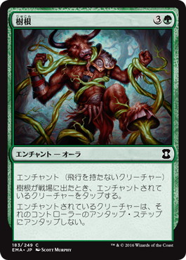 【JPN】《樹根/Roots》[EMA]