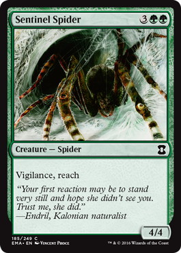 【ENG】《歩哨蜘蛛/Sentinel Spider》[EMA]