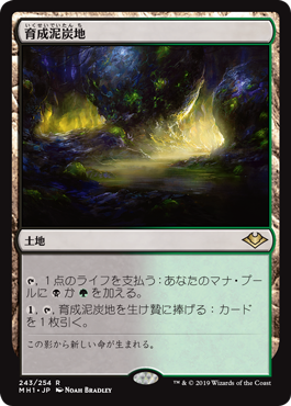 【JPN】《育成泥炭地/Nurturing Peatland》[MH1]