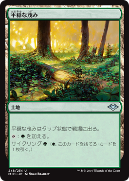 【JPN】【Foil】《平穏な茂み/Tranquil Thicket》[MH1]