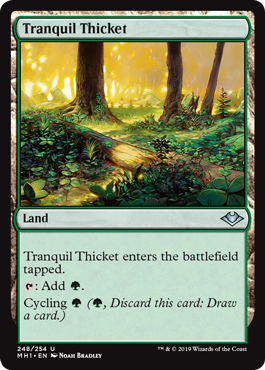 【ENG】【Foil】《平穏な茂み/Tranquil Thicket》[MH1]