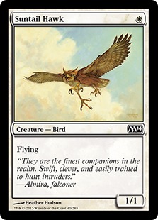 【ENG】【Foil】《陽光尾の鷹/Suntail Hawk》[M14]