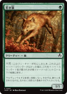 【JPN】《若き狼/Young Wolf》[INR]
