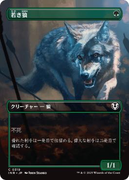 【JPN】■ボーダーレス■《若き狼/Young Wolf》[INR]