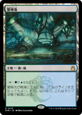 【JPN】【Foil】《繁殖池/Breeding Pool》[RVR]