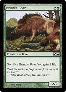 【ENG】【Foil】《斑の猪/Brindle Boar》[M14]