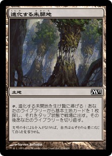 【JPN】【Foil】《進化する未開地/Evolving Wilds》[M13]
