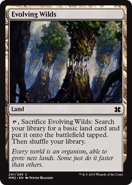 【ENG】【Foil】《進化する未開地/Evolving Wilds》[MM2]