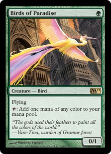 【ENG】《極楽鳥/Birds of Paradise》[M11]