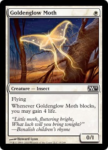 【ENG】《黄金光の蛾/Goldenglow Moth》[M11]