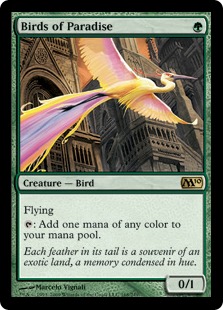 【ENG】《極楽鳥/Birds of Paradise》[M10]
