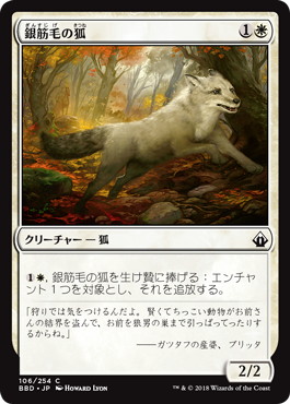【JPN】【Foil】《銀筋毛の狐/Silverchase Fox》[BBD]