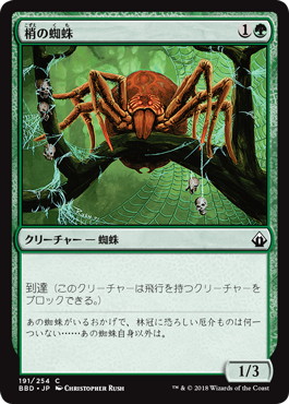 【JPN】【Foil】《梢の蜘蛛/Canopy Spider》[BBD]