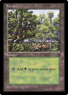 【ENG】《森/Forest》[初代アリーナランド]