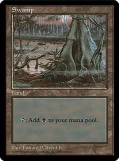 【ENG】《沼/Swamp》(Illus.Edward P.Beard Jr.)[APACランド]