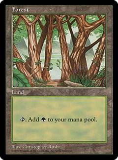 【ENG】《森/Forest》(Illus.Christopher Rush)[APACランド]