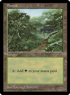 【ENG】《森/Forest》(Illus.Edward P.Beard Jr.)[APACランド]