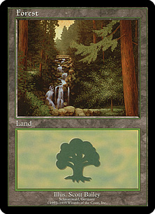 【ENG】《森/Forest》(Schwarzwald, Germany)[ユーロランド]