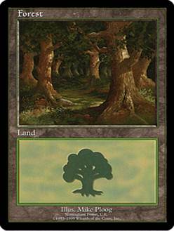 【ENG】《森/Forest》(Nottingham Forest, U.K.)[ユーロランド]