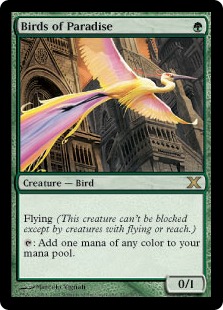 【ENG】《極楽鳥/Birds of Paradise》[10E]