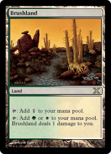 【ENG】《低木林地/Brushland》[10E]
