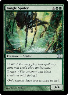 【ENG】《絡み森の蜘蛛/Tangle Spider》[10E]