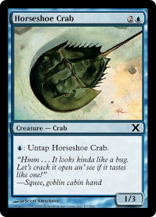 【ENG】《カブトガニ/Horseshoe Crab》[10E]