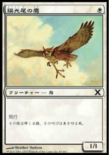【JPN】《陽光尾の鷹/Suntail Hawk》[10E]