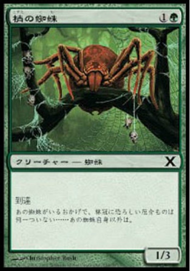 【JPN】【Foil】《梢の蜘蛛/Canopy Spider》[10E]