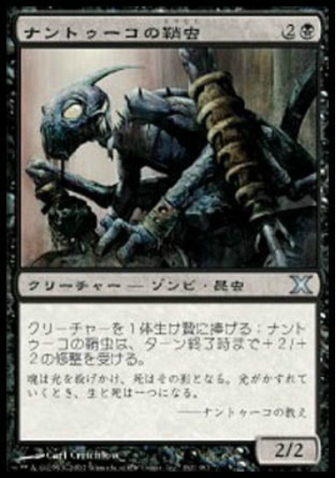 【JPN】《ナントゥーコの鞘虫/Nantuko Husk》[10E]