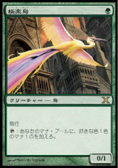 【JPN】《極楽鳥/Birds of Paradise》[10E]