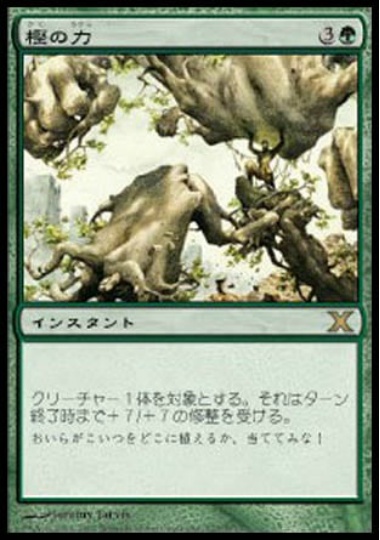 【JPN】《樫の力/Might of Oaks》[10E]