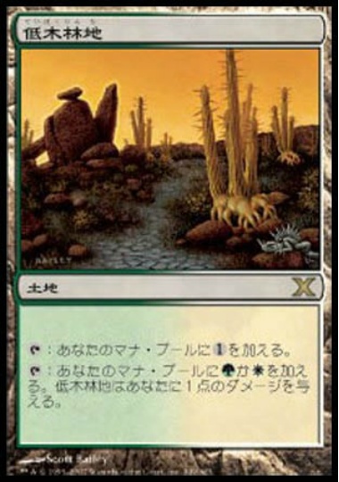 【JPN】《低木林地/Brushland》[10E]