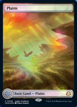 【ENG】【Foil】■フルアート■《平地/Plains》(Illus.Jorge Jacinto)[ジャッジ褒賞]