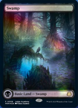 【ENG】【Foil】■フルアート■《沼/Swamp》(Illus.Jorge Jacinto)[ジャッジ褒賞]