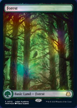 【ENG】【Foil】■フルアート■《森/Forest》(Illus.Jorge Jacinto)[ジャッジ褒賞]